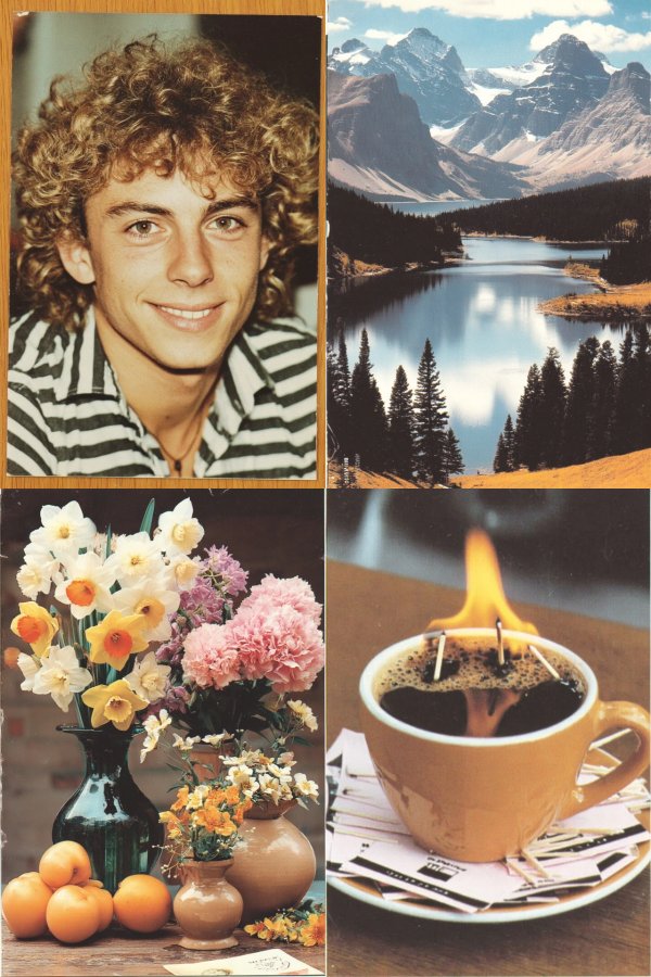 Vintage Golden Curls