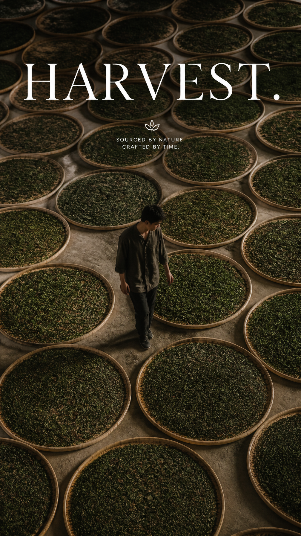 Premium editorial campaign.Main Subject: Young man inside...