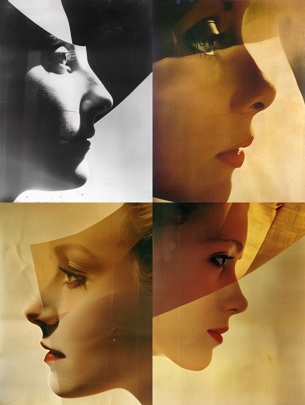 Fragmented Shadows of a Profile
