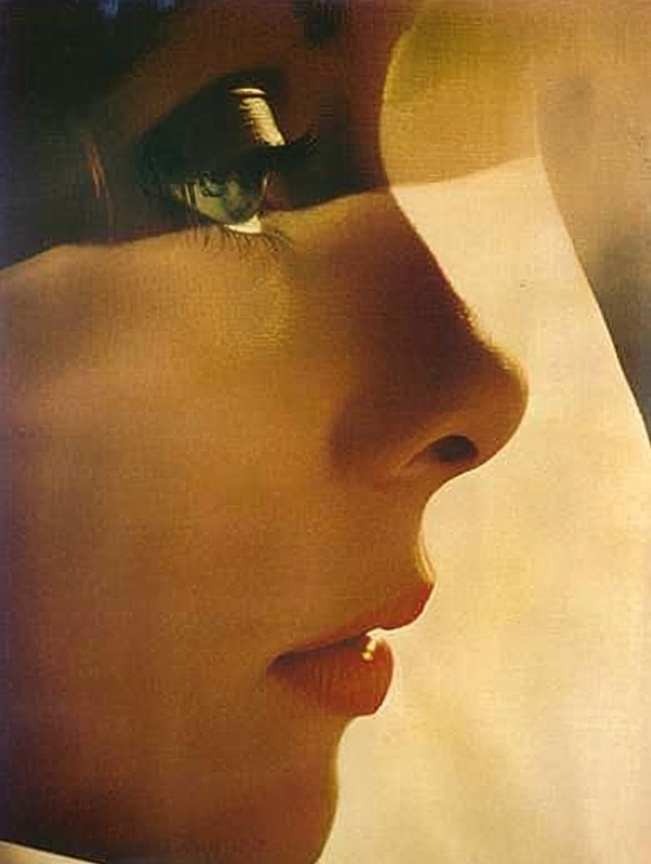 Fragmented Shadows of a Profile