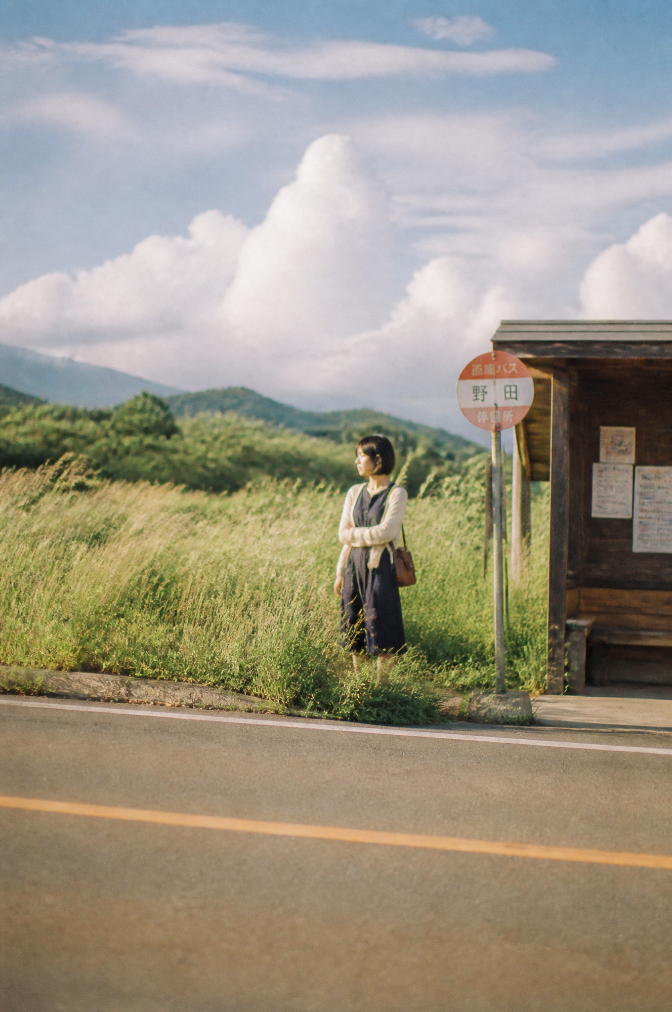 Summer Solitude at Rural Japanese Bus Stop