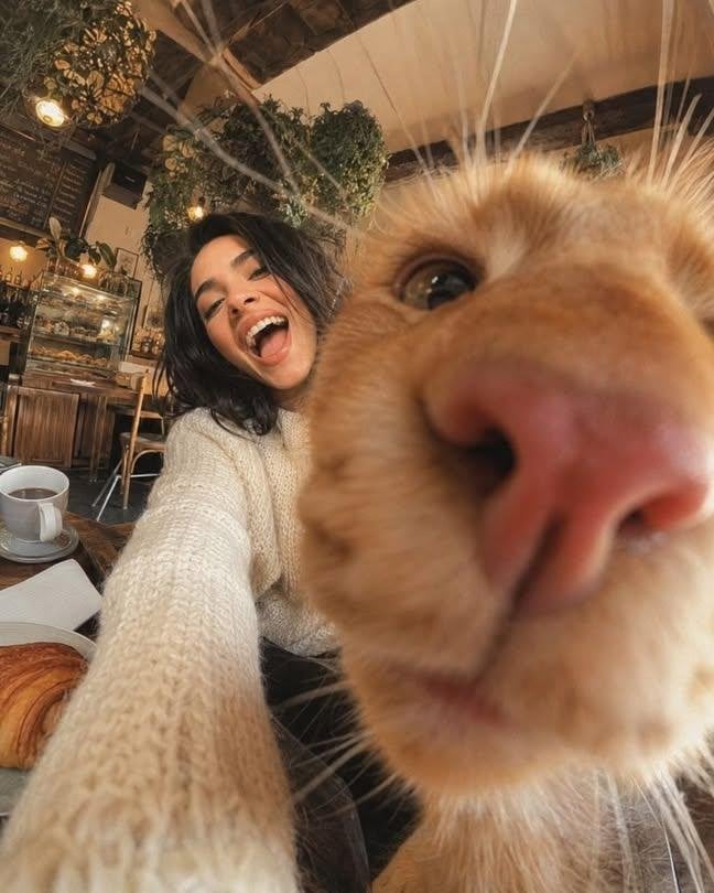 Cat Photo-bombing Café Selfie