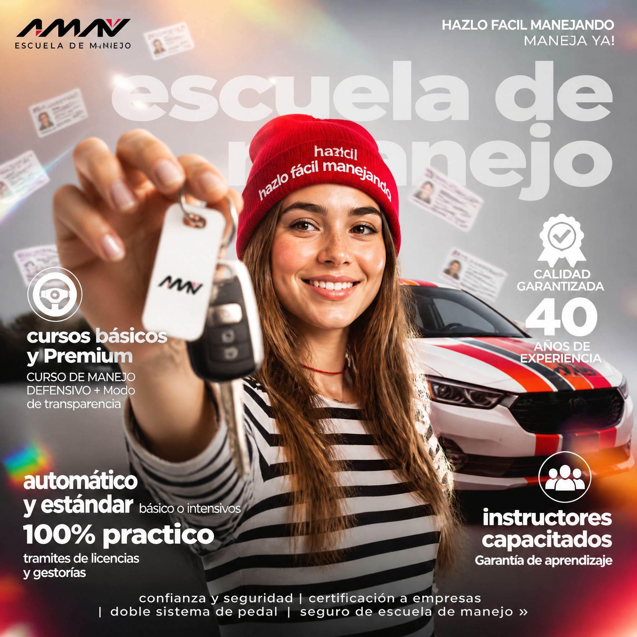Premium Driving School Commercial Infographic