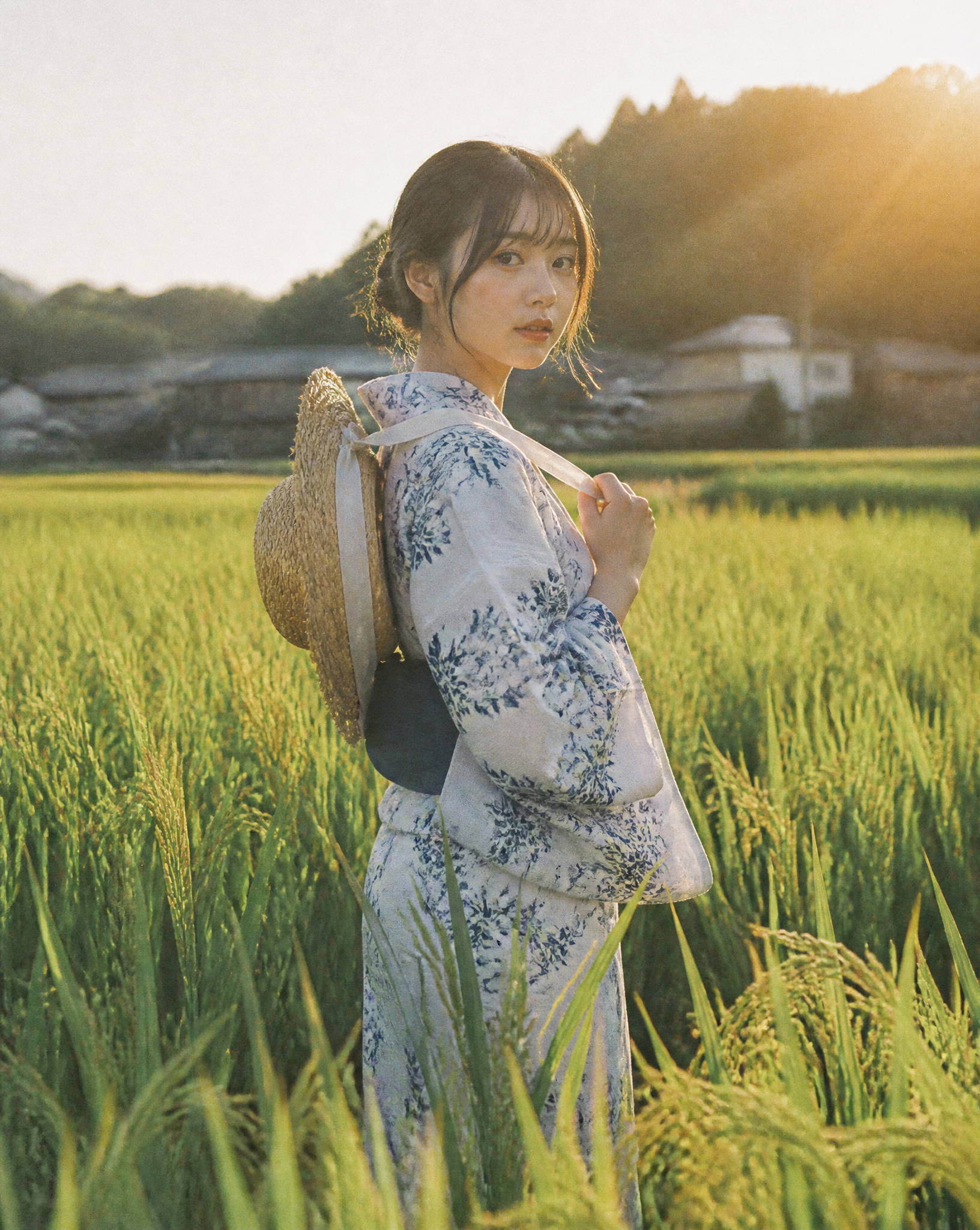 Serene Summer Evening in Japanese Rice Fields