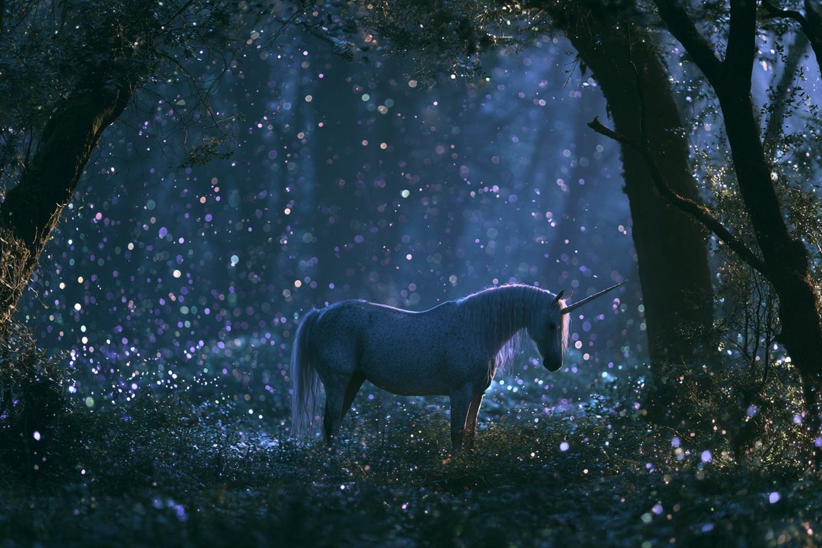 Mystical Bioluminescent Woodland - alternate